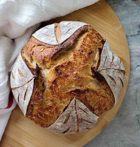 basic sourdough recipe