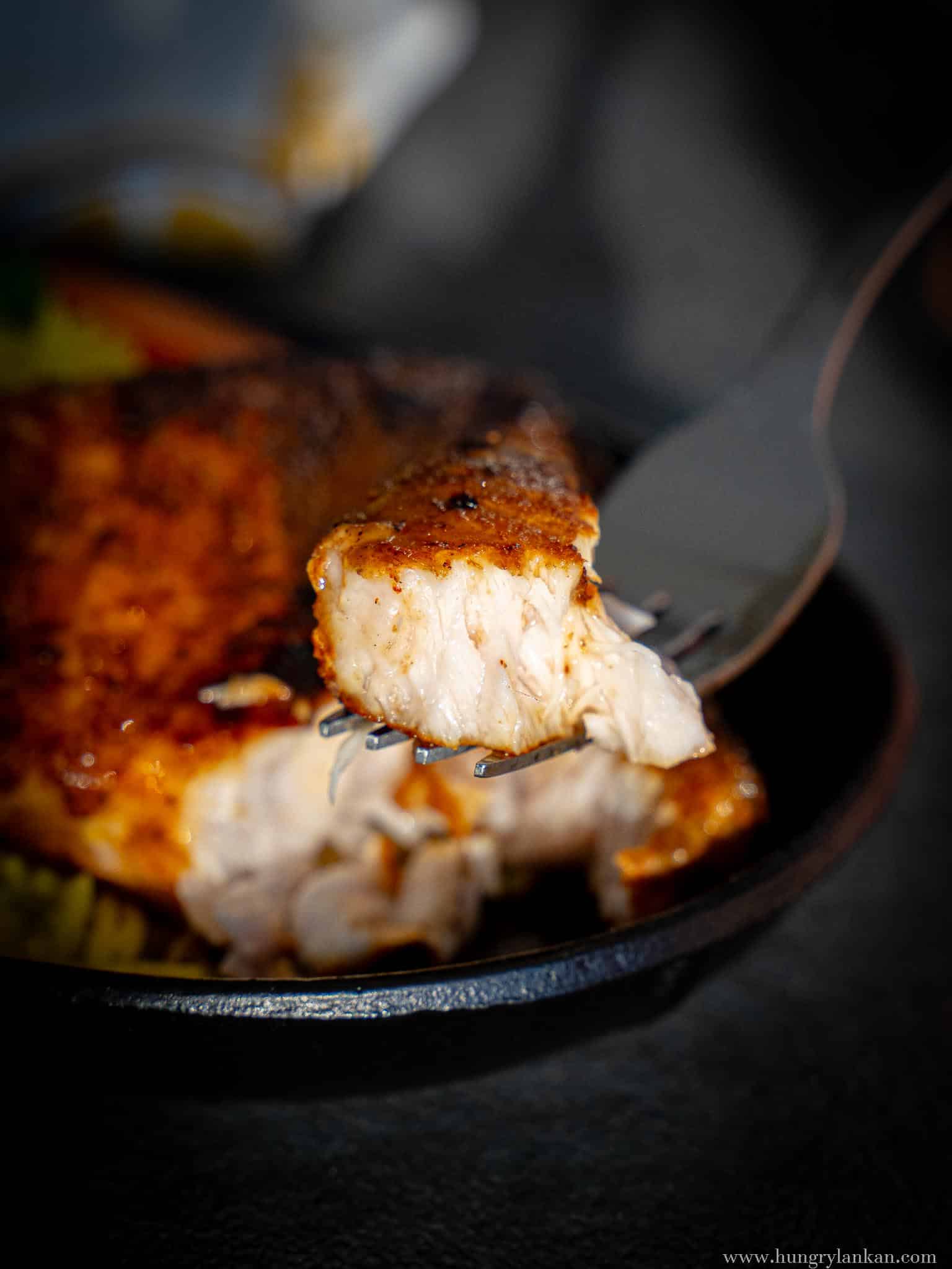 Pan Seared Swordfish Recipe